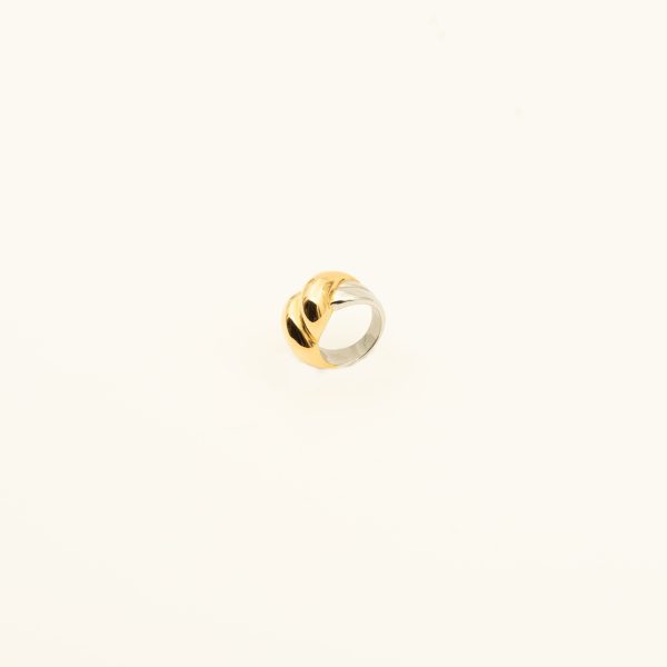 Rose - Image 2