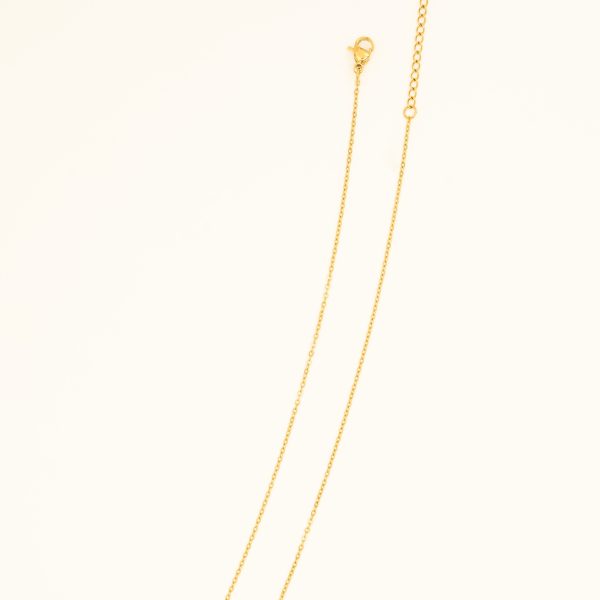 CORER - Image 2