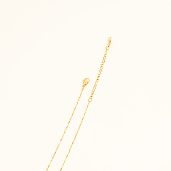 CORER - Image 3